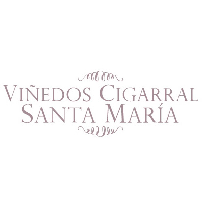 Viñedos Cigarral Santa María